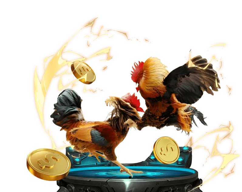 Cá cược thể thao tại Okbay